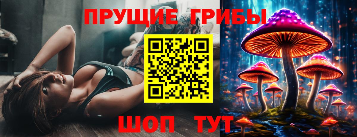 Ивантеевка  Галлюциногенные грибы Cubensis  Вход с VPN 