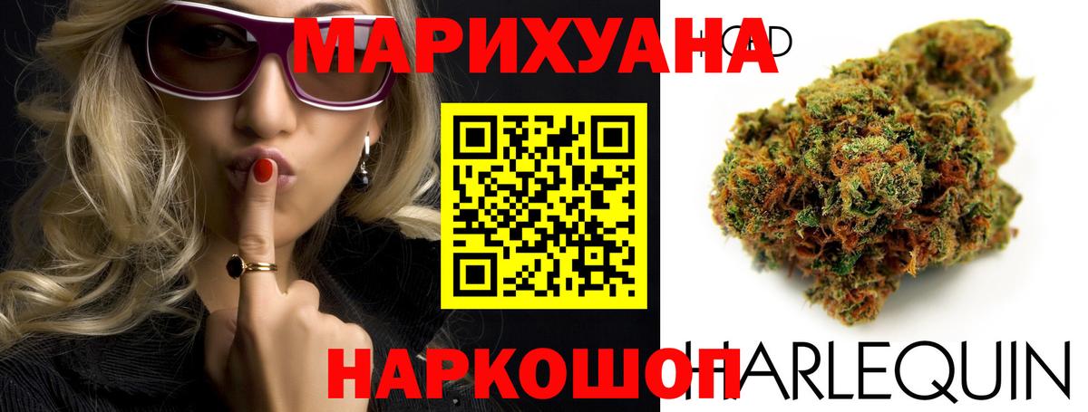 Бошки Шишки конопля Ивантеевка